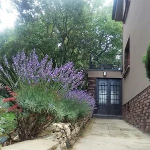  Apartment V Zahrade Troja - In The Garden Troja Tschechische Republik